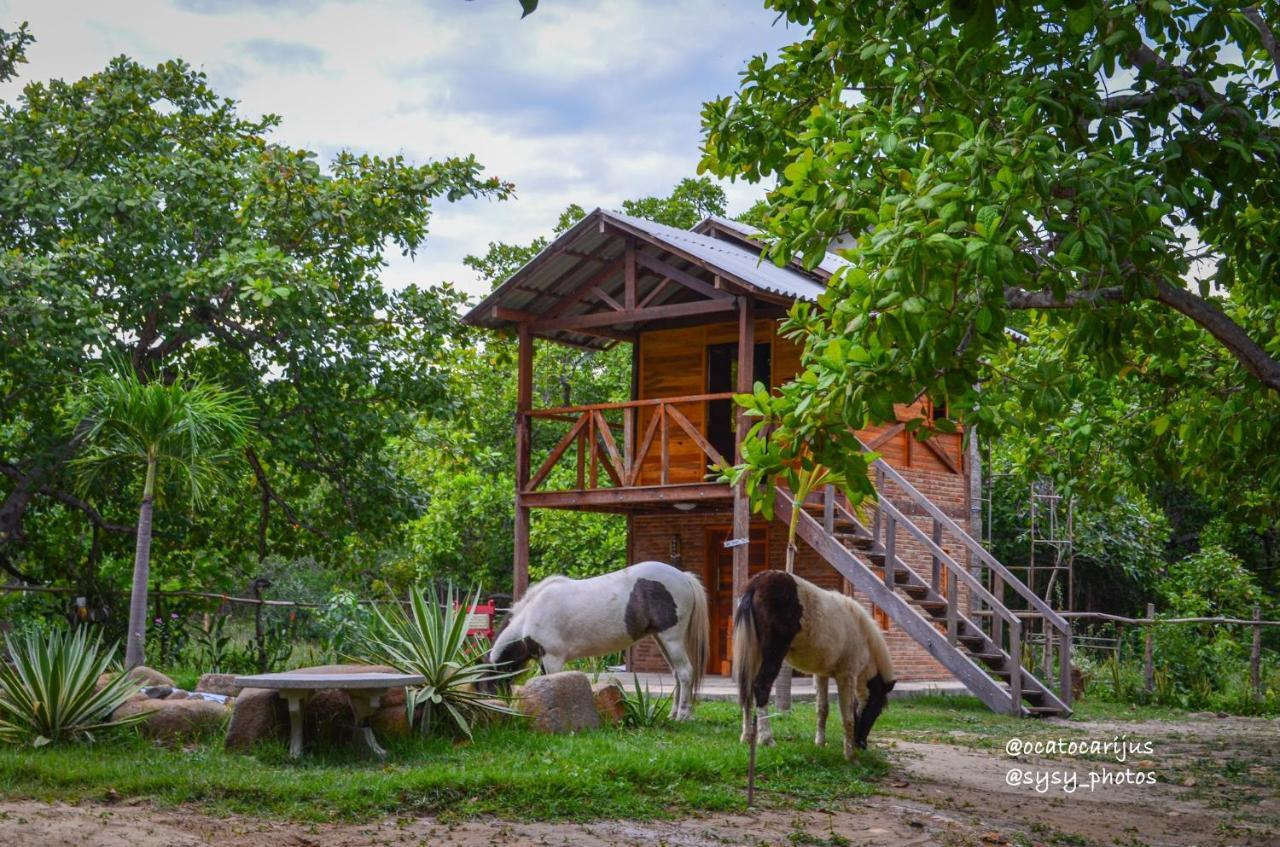 Oca Tocarijus Eco Resort Piracuruca Buitenkant foto